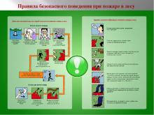 Памятка: правила безопасного поведения при пожаре в лесу