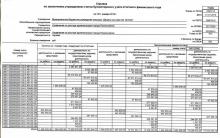 Справка по заключению учреждением счетов бухгалтерского учета отчетного финансового года на 01.01.2019, стр. 1